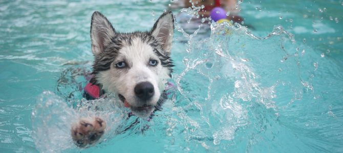 Devidos cuidados com a sua piscina